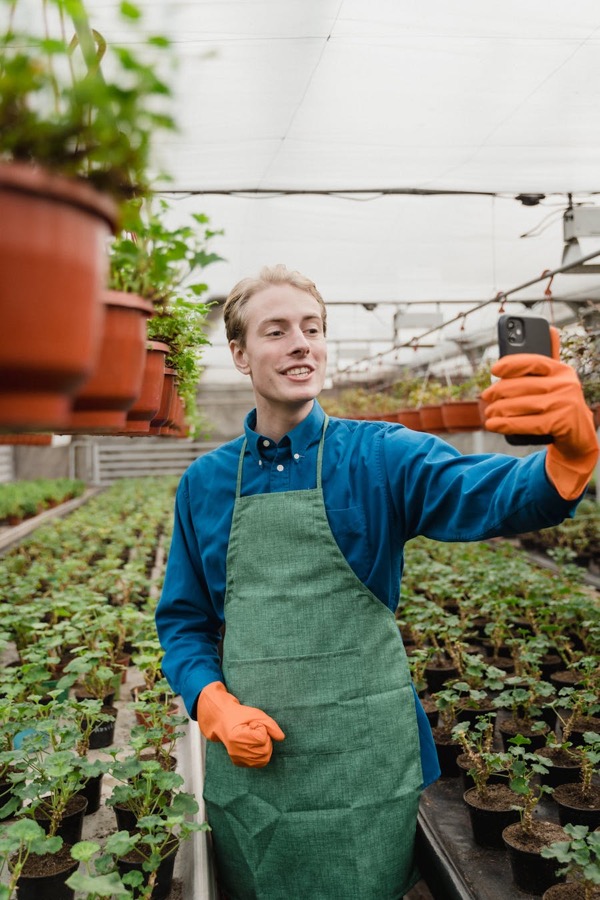Grower checking plants in a greenhouse
